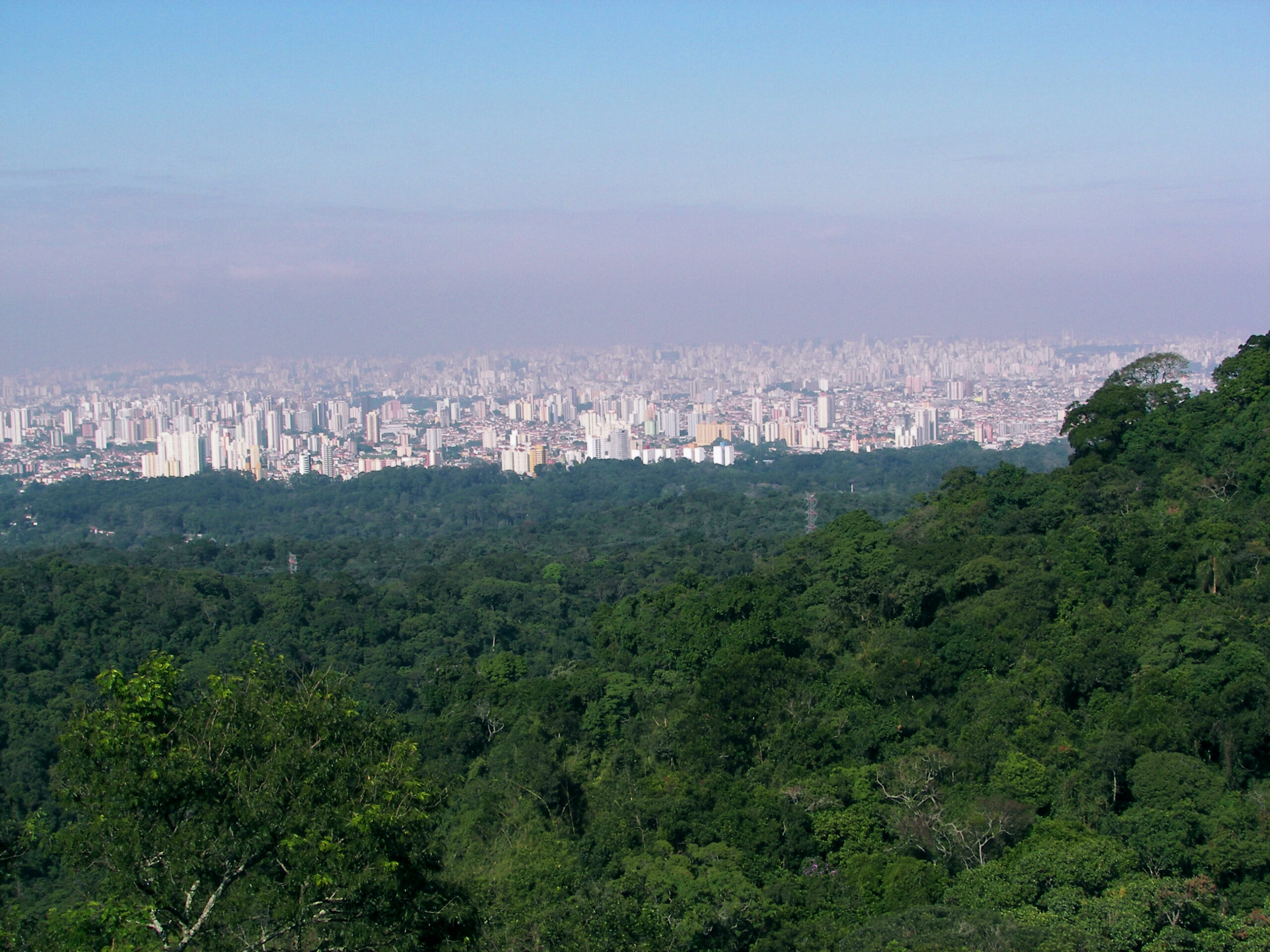 Serra da Cantareira: curiosidades de um lugar fascinante